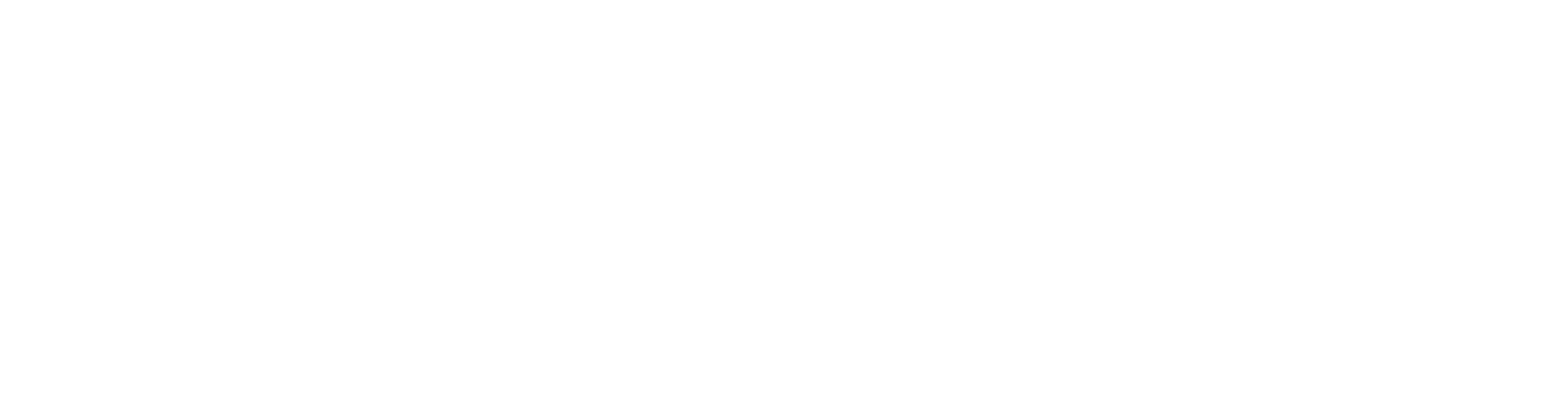 logo-inti